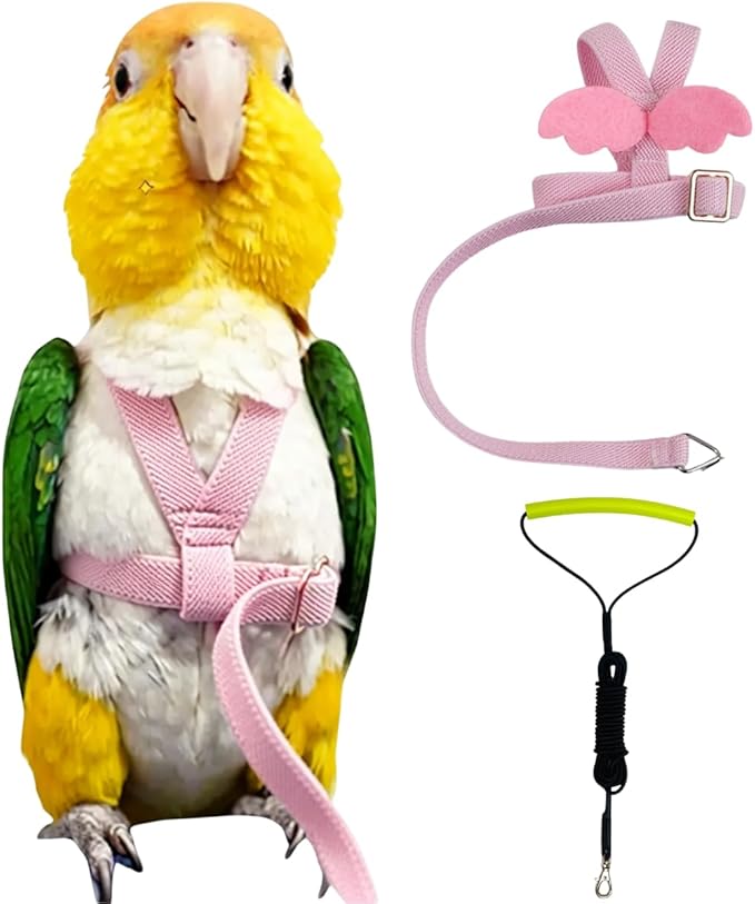 Adjustable Bird Harness with Elastic Leash, Pet Parrot Harness and Leash, Adjustable Training Design Anti-Bite, Bird Nylon Rope with Cute Wing for Conure (Pink,XL)
