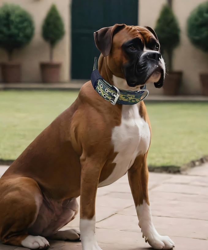 Dog Collar for Large Dogs - 2" Wide Tactical Collars with Handle for Extra Large Breed Dogs, Military Heavy Duty 1/3" Thick Nylon Pet Collar Camo Green M