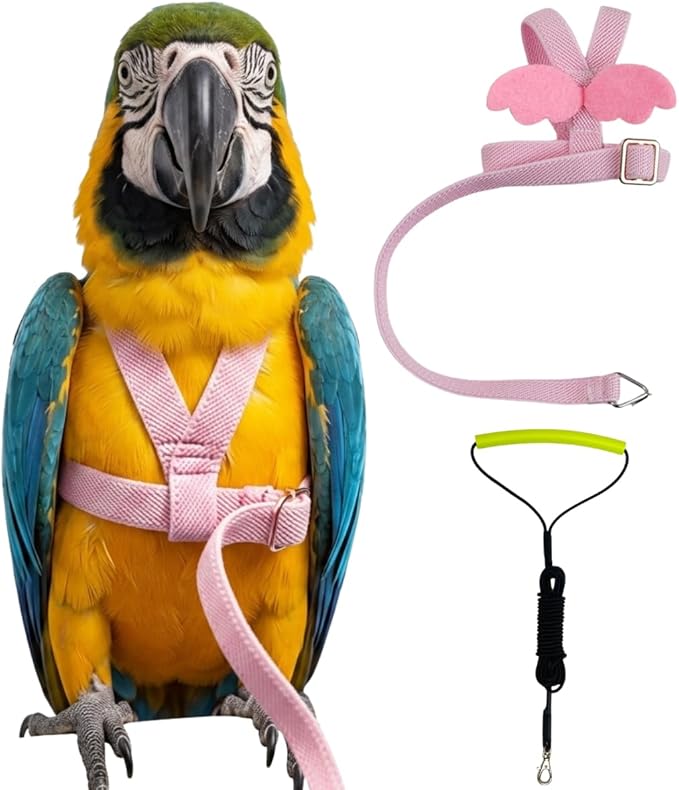 Adjustable Bird Harness with Elastic Leash, Pet Parrot Harness and Leash, Adjustable Training Design Anti-Bite, Bird Nylon Rope with Cute Wing for Conure (Pink,Macaw)