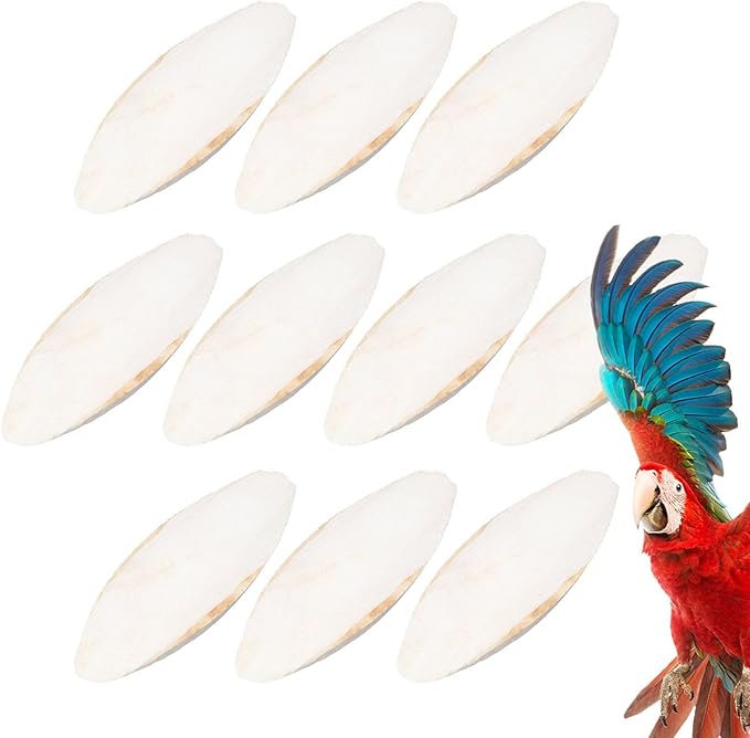 10 Pack Bird Cuttlebone Chew Toy, Natural Cuttlebone for Birds Parakeets Reptile Tortoises Snails, Cuttlefish Bone for Birds, Bird Calcium Stone for Parrots Cockatiels Budgie Macaw
