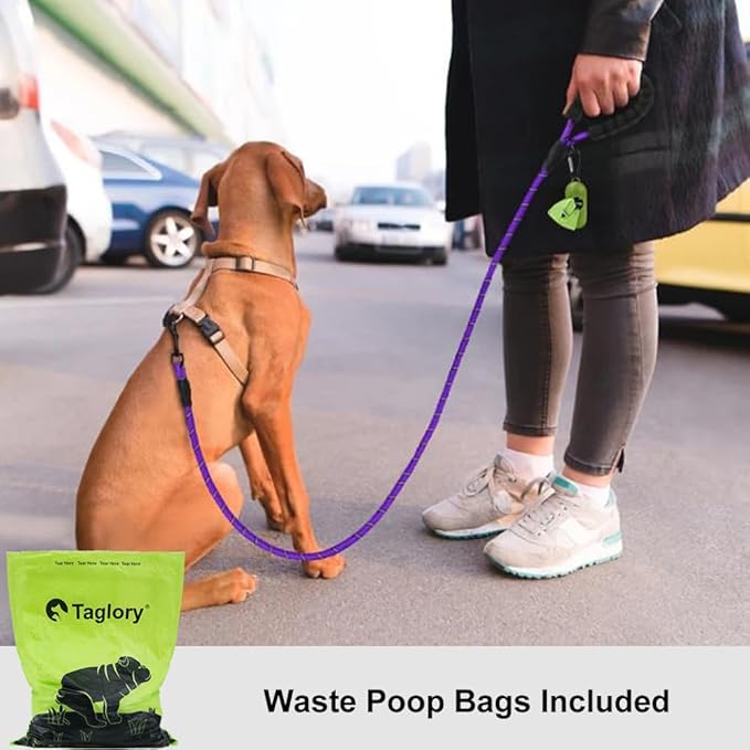 Taglory Rope Dog Leash 5 FT with Comfortable Padded Handle, Highly Reflective Threads Leash and Anti-Tangle Clip for Walking Small Dogs, 3/8 inch, Purple
