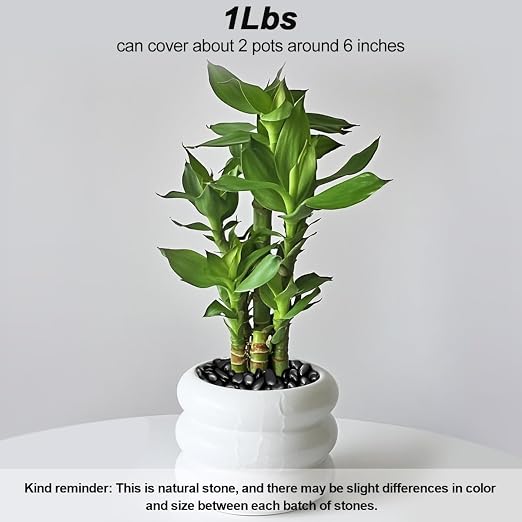 Garden Landscaping Stones, Black River Rocks, Decorative Ornamental Pebbles | Gravel Filler For Flower Bed, Fish Tank, Plants, Vases, Succulents, Indoor & Outdoor Home Decoration