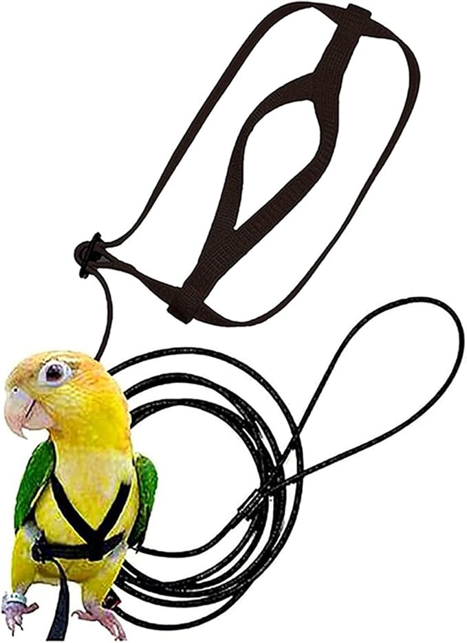 Pet Parrot Bird Harness and Leash, Adjustable Training Design Anti-Bite, Bird Nylon Rope with Cute Wing for Parrots, Suitable for Scarlet, Keck, Mini Macaw and Same Size Birds (01)