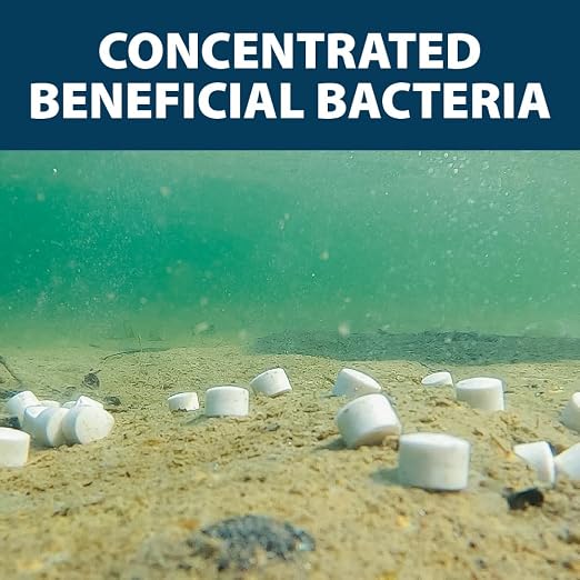 Airmax MuckAway Bacteria Enzyme Tablets for Ponds & Lakes, 16 Scoops | Natural beneficial bacteria muck, sludge & noxious odor solution for cleaner beaches & shorelines; fish, pet & wildlife safe