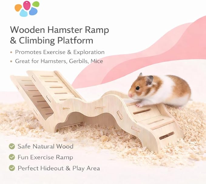 Large Size Syrian Hamster Explorer Set - Snap-Together Wooden Burrow with Panoramic Window,Natural Chew-Safe Design Decorative Landscaping Digging Peeping Hide Underground Fun for Cage Enrichment