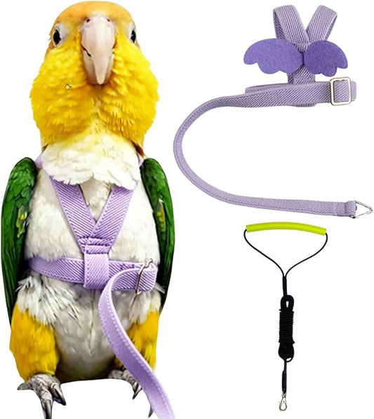 Adjustable Bird Harness with Elastic Leash, Pet Parrot Harness and Leash, Adjustable Training Design Anti-Bite, Bird Nylon Rope with Cute Wing for Conure (Purple,XL)