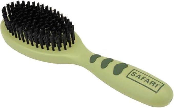 Coastal Safari Bristle Dog Brush - Gentle Grooming Brush for All Coat Types - Removes Dog Hair & Offers Natural Oil Distribution - Small