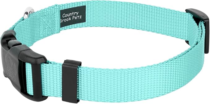 Country Brook Petz - Everyday Nylon Dog Collar and Leash - 10+ Cool Colors (3/4 Inch, Medium, Light Cyan)
