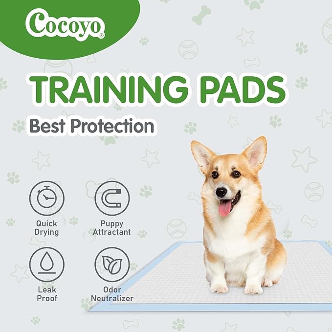 COCOYO Best Value Dog Training Pads | Dog Pee Pads | Super Absorbent Puppy Pads (17.5" x 23.5", 100 Count),Blue