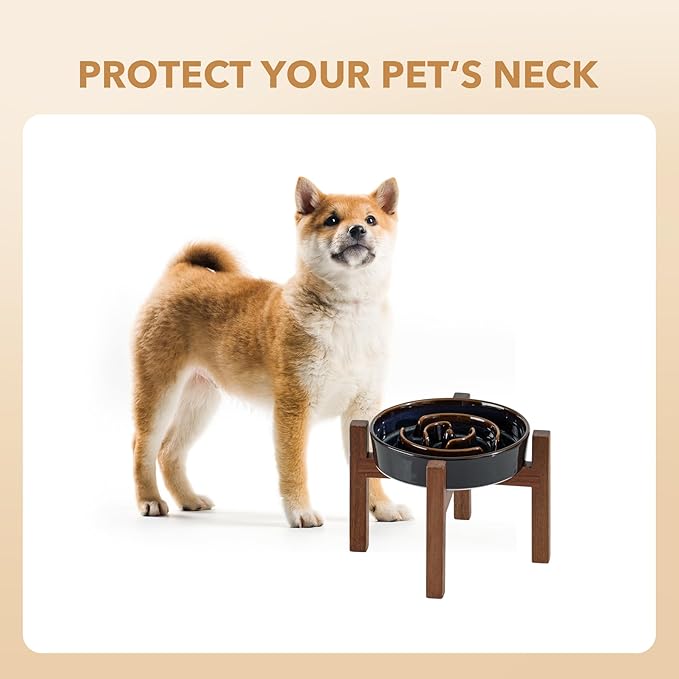 Havniva Elevated Slow Feeder Dog Bowls, 1.2 Cups Raised Ceramic Dog Food Bowls with Acacia Wood Stand, 7.3 inch Slow Feeder for Small Dogs Puzzle Bowls for Fast Eater Anti-Choking