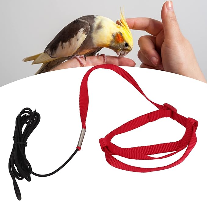 Elastic Parrot Harness Leash Bird Leash Bite Proof Harness Adjustable Parrot Flying Training Rope with Metal Hook Nylon Webbing for Cockatiels Walking (L)
