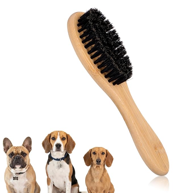 YUXIANLB Boar Bristle Pet Brush with Wood Handle, Soft Brush for Short Hair | Soft Cat and Dog Daily Grooming Tool for Short Hair Cats Small Dogs Gentle Massage Dandruff Removal