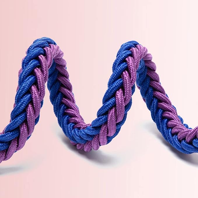 Love Dream Dog Collar and Leash Set, Heavy Duty Nylon Braided Rope Strong 4 FT Dog Leash and Martingale Training Collar for Small Medium Large Dogs Training and Walking (Black & Purple)