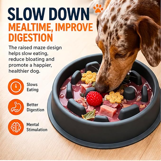 Slow Mo Bowl | Slow Feeder Dog Bowl for Fast Eaters, Improves Digestion & Reduces Bloating, Fun Interactive Design, & Dishwasher Safe | Kubi Pets