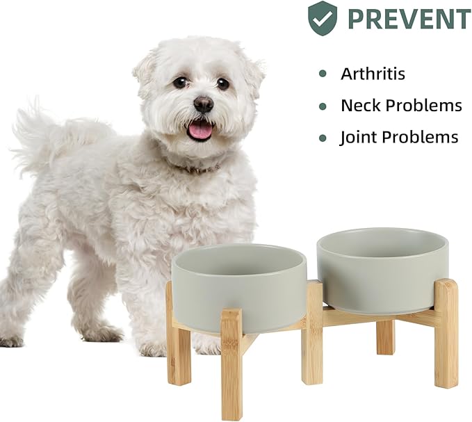 Havniva Ceramic Raised Double Bowls Set with Stand, 2 Heights Elevated, Food & Water Bowls for Small Breed Dogs, Weighted Dog Dishes, Pet Bowl(6.1'',28.7oz, Grey)