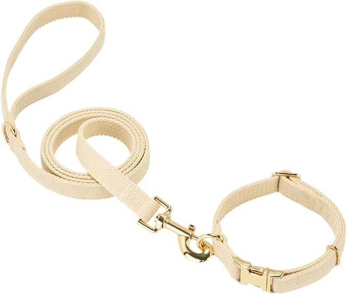 Luxury Soft Cotton Tweed Fabric Dog Collar & Leash Set with Gold Buckle – Durable Fabric, Stylish Design for Everyday Walks(Small Cream)