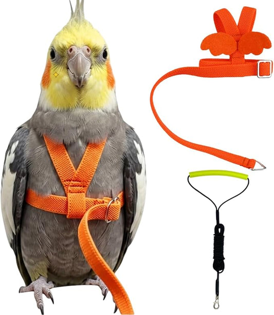 Adjustable Bird Harness with Elastic Leash, Pet Parrot Harness and Leash, Adjustable Training Design Anti-Bite, Bird Nylon Rope with Cute Wing for Conure (Orange,2M)