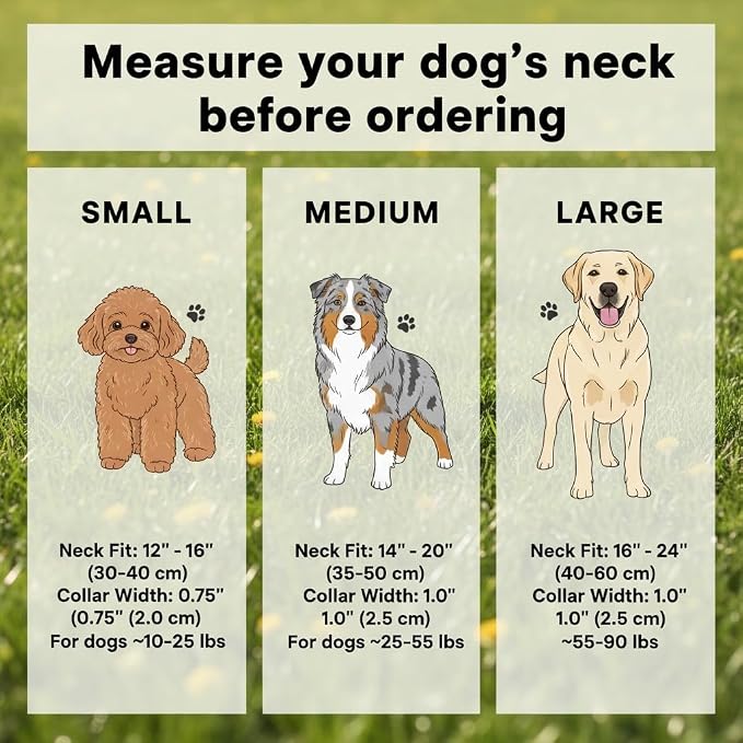 Dog Leash and Collar Set – 6 FT Strong Rope Leash with Padded Handle & Adjustable Nylon Collar Reflective for Small Medium Large Dogs (Pink, M)