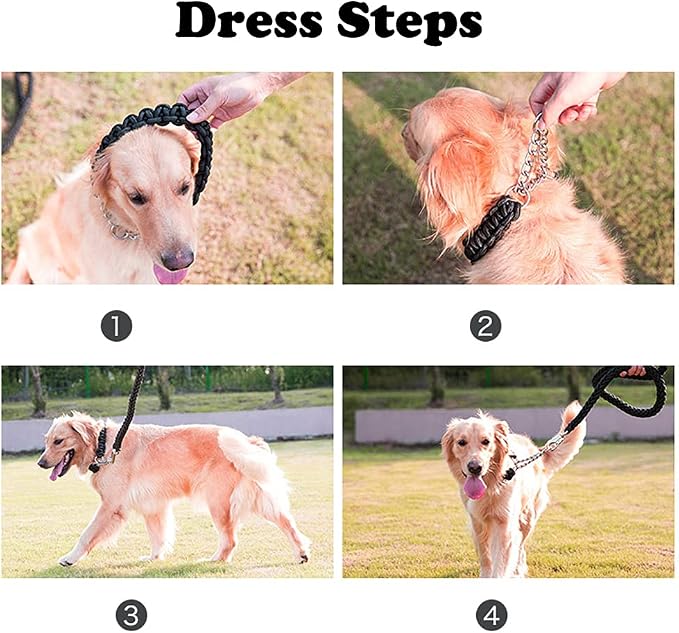 Love Dream Dog Collar and Leash Set, Heavy Duty Nylon Braided Rope Strong 4 FT Dog Leash and Martingale Training Collar for Small Medium Large Dogs Training and Walking (Red)
