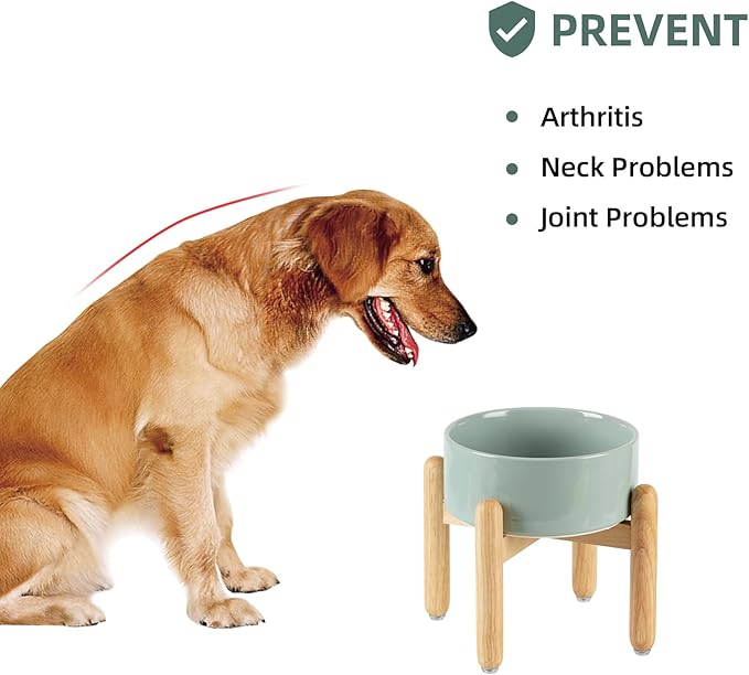 Havniva Ceramic 7.3inch Raised Dog Bowl Set, Elevated with Wooden Stand, Food and Water Bowl for Medium Breed Dogs, Weighted Dog Dishes, Pet Feeder(Light Green)