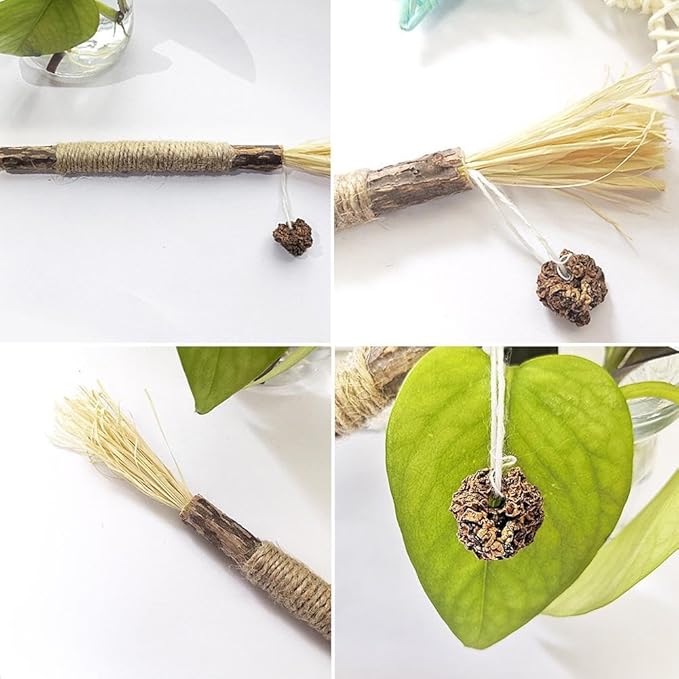 4Pcs Silvervine Sticks for Cats,Cat Chew Stick Toys,Natural Silvervine Sticks Interactive Toy for Cat Teeth Cleaning and Dental Care