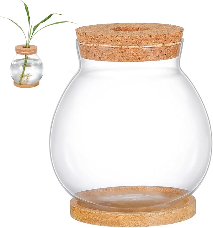 BESTOYARD Desktop Fish Bowl Hydroponic Terrarium Small Glass Fish Tank with Bamboo Cushion Betta Bowl for Desk Table Shelf Plant Display Home Office Party Decor