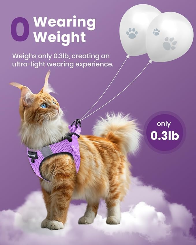 FAYOGOO Cat Harness and Leash Set | Upgrade Step-in Escape Proof Harness | Lightweight Soft Vest, No-Choke Design for Walking, Travel, Camping (Modern Violet)