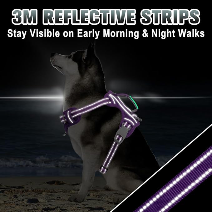 BARKBAY No Pull Dog Harness Large Reflective Dog Harness with Front Clip and Easy Control Handle for Walking Training Running with ID tag Pocket(Purple,L)