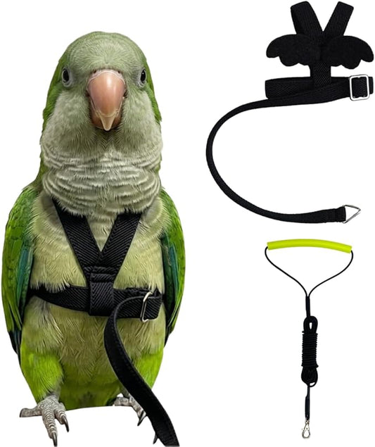 Adjustable Bird Harness with Elastic Leash, Pet Parrot Harness and Leash, Adjustable Training Design Anti-Bite, Bird Nylon Rope with Cute Wing for Conure (Black,L)