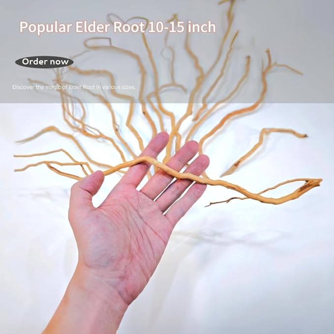 Azil Natural Aquarium Driftwood Root – Driftwood for Aquarium Decor, 170g~0.38lb (14″–16″), Fish Tanks, Terrariums, Aquascaping & Planted Tanks
