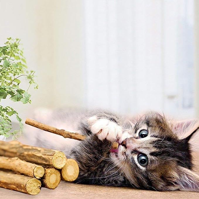 WoLover 10 PCS Cat Catnip Sticks, Natural Matatabi Silvervine Sticks - Cleaning Teeth Molar Tools Kitten Chew Toy Natural Catnip Cats Toy