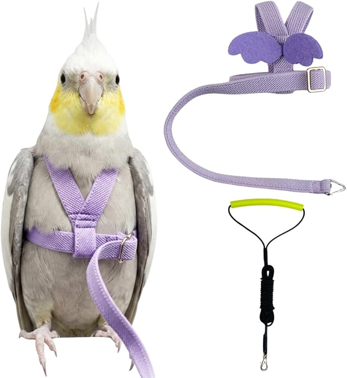 Adjustable Bird Harness with Elastic Leash, Pet Parrot Harness and Leash, Adjustable Training Design Anti-Bite, Bird Nylon Rope with Cute Wing for Conure (Purple,2M)