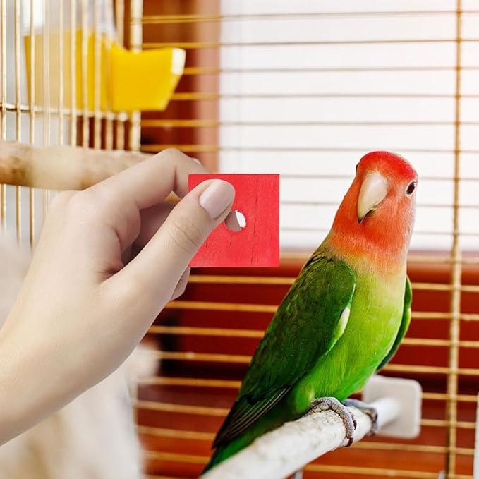 SUPVOX Parrot Toys 50 Pcs Natural Wooden Blocks for Chewing and Foraging Interactive Bird Toy Stress Relief 1.18X1.18X0.19 Inch