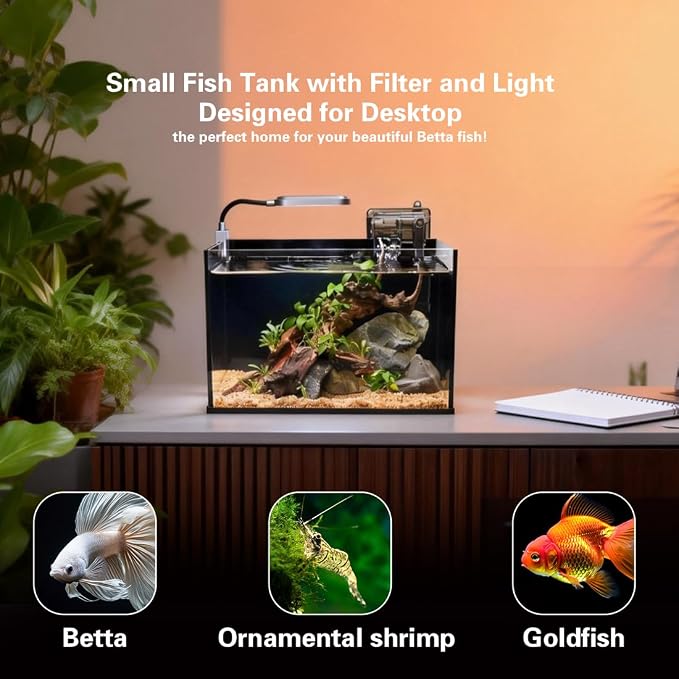 2.8 Gallon Glass Fish Tank,Small Fish Tank with Light and Filter | Aquarium Starter Kit,Nano Shrimp Aquarium for Small Fish, Shrimp,or Betta,Desktop Corner
