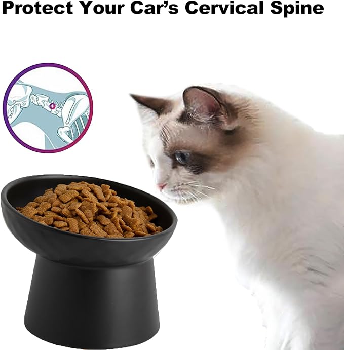 6 inch Small Ceramic Raised Cat Bowls, Tilted Elevated Food or Water Bowls, Stress Free, Backflow Prevention, Dishwasher and Microwave Safe, Lead & Cadmium Free(Black 6 inch-2pc)