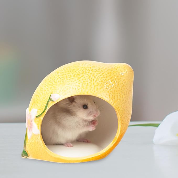 Ceramic Hamster House,Hamster Hideout Cute Hamster Cage Accessories Small Animal Hideout for Small Animal Chinchilla Hamster, Small