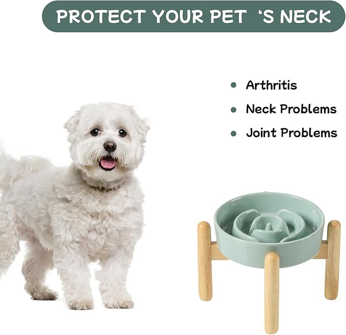 Havniva Ceramic 0.9 Cup Raised Dog Slow Feeder Set, Elevated Bowl with Wooden Stand for Small Dog and Cat, 6.1inch Puzzle Slow Dog Food Dish, Anti-Gulping(Light Green, Single Bowl+ Stand)