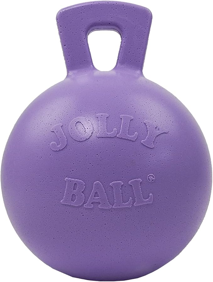 Jolly Pets Tug-n-Toss Heavy Duty Dog Toy Ball with Handle, 10 Inches/X-Large, Light Purple