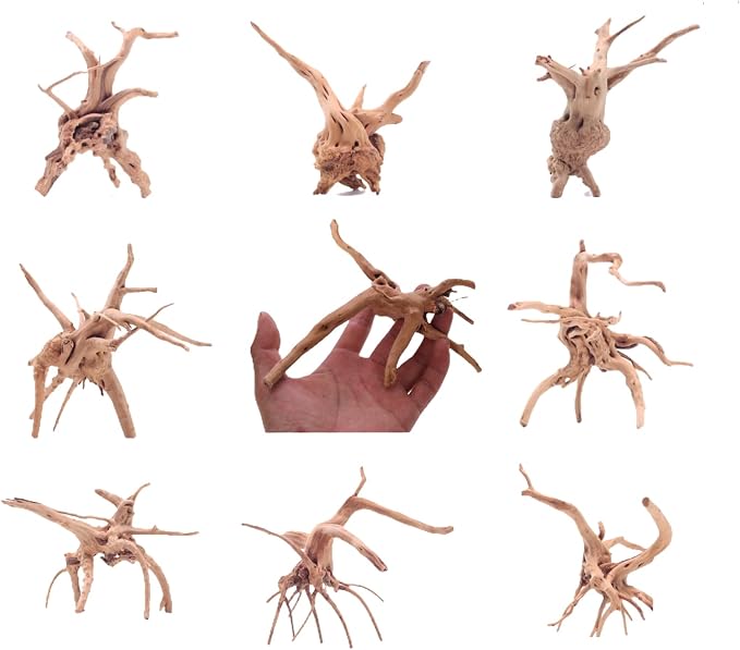 YZHZOM 8pcs Natural Small Spiderwood Driftwood for Aquarium Decor Aquarium Driftwood Freshwater Reptile Driftwood Aquarium spiderwood (spiderwood 5-6inch 8pcs)