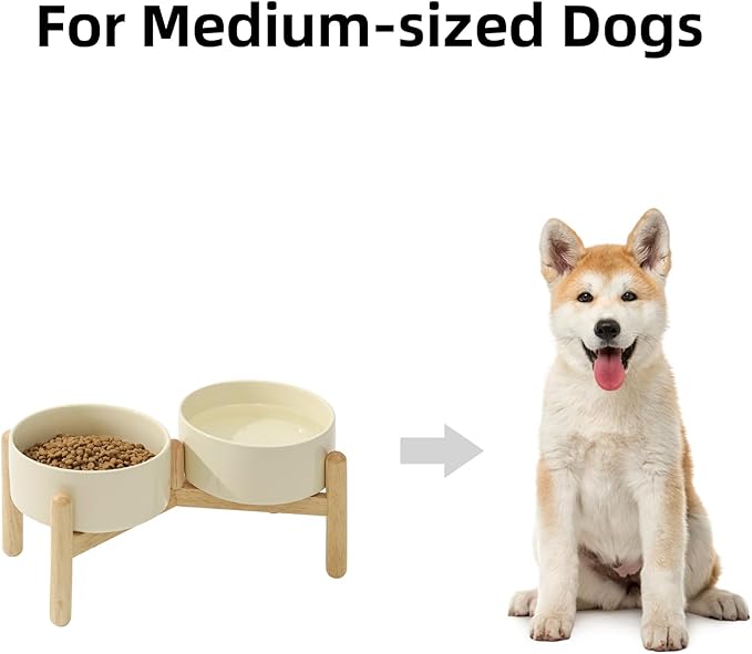 Havniva Ceramic 6.1inch Raised Dog Bowl with Stand for Small and Medium Breed Dog Dish Pet Food and Water Bowl (Double Bowl with Stand - Light Yellow, 28oz)