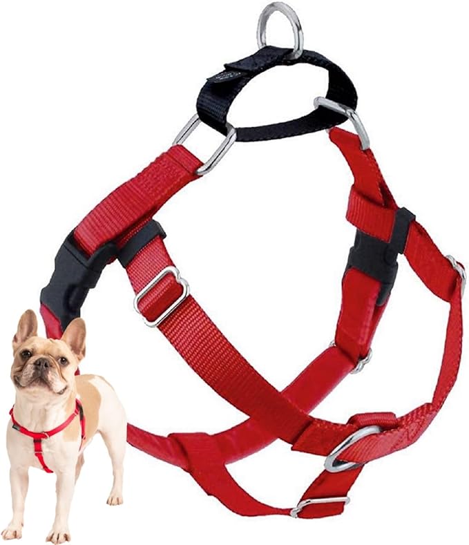 2 Hounds Design Freedom No Pull Dog Harness, Adjustable Harness, Easy Walking & Comfortable Control, Fits Small, Medium & Large Dogs, Solid Colors, Made in USA, 1" MD, Red
