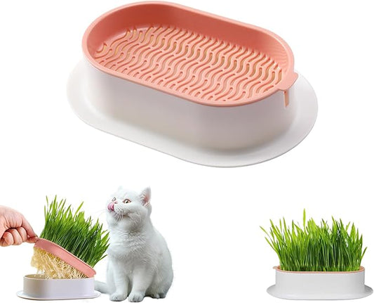 Hydroponic Cat Grass Growing Kit with Germination Tray - Indoor Gardening System for Pets, Soil-Free Planter Without Seeds