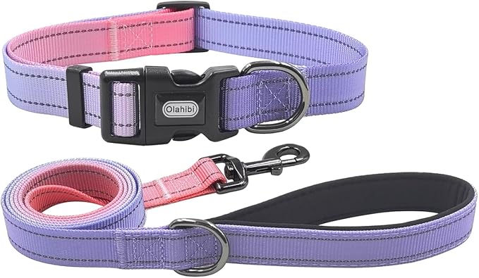 Dog Collar Leash Set, Gradient Color, with Safety Reflective Strips, 5 ft Matching Leash, Neoprene Padded Handle, Adjustable 4 Sizes for Small Medium Large Dogs.(L, Lilac Pink)