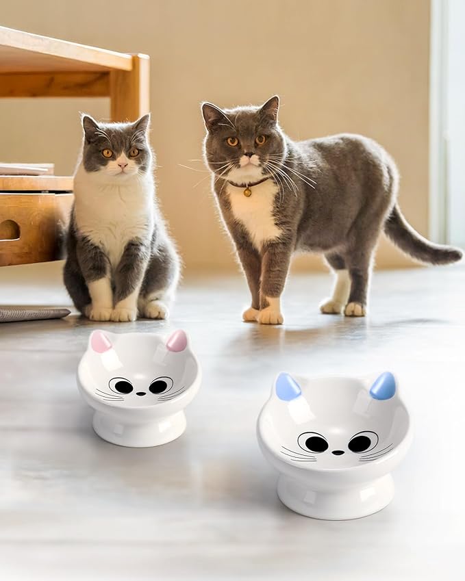 2Pcs Raised Cat Food Bowl Ceramic 15 Tilted Bowls Protect Cat's Spine, Anti Vomiting Backflow Prevention, Adult Cats, Kitten, Small Dogs, Pink&Blue