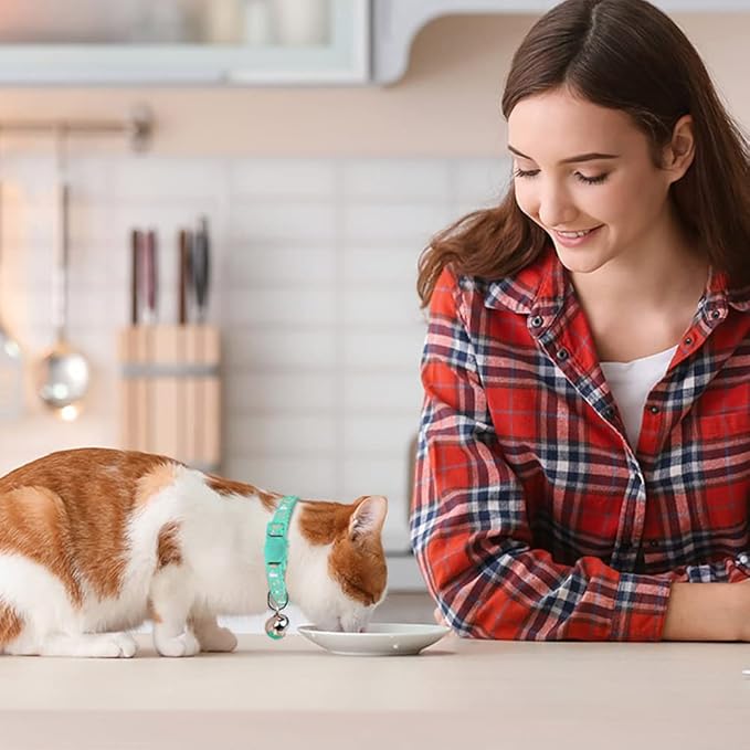 Baeuppit 2PCS Breakaway Cat Collars with Bell Cute Kitty Glow in The Dark Adjustable Kitten Collars 7.9-13.0 Inch(Teal&Pink)
