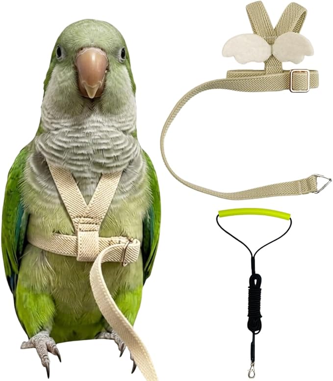 Adjustable Bird Harness with Elastic Leash, Pet Parrot Harness and Leash, Adjustable Training Design Anti-Bite, Bird Nylon Rope with Cute Wing for Conure (Beige,L)