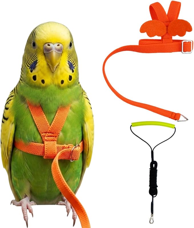 Adjustable Bird Harness with Elastic Leash, Pet Parrot Harness and Leash, Adjustable Training Design Anti-Bite, Bird Nylon Rope with Cute Wing for Conure (Orange,XS)