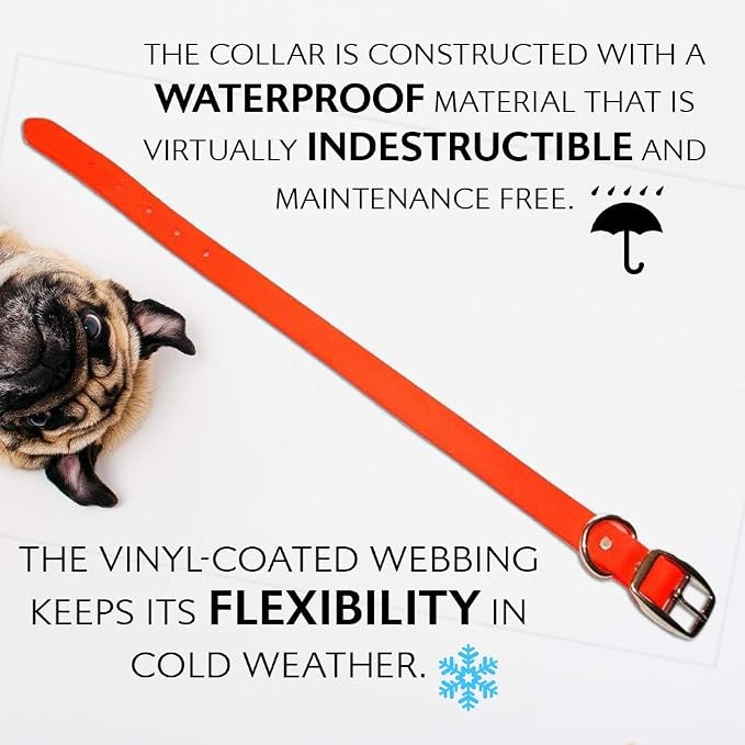 Regal Dog Products Medium Orange Waterproof Dog Collar and Leash Set | Heavy Duty Double Buckle & D Ring - 5'ft Leash | Adjustable Biothane Dog Collar | Chew Resistant Waterproof Collar for Dogs