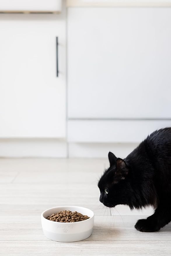 Pearhead Ceramic Paws Off Cat Bowl, Holds 12 oz, Whisker-Friendly Pet Dish for Food and Water, Heavy Non-Slip Base