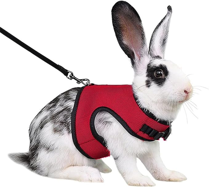 Rabbit Harness and Leash,Guinea Pig Escape Proof Bunny Harness and Leash Set, Cute Bunnies Vest Clothes Stuff Walking Ferret Kitten Puppy Small Pet Animals,Red XL